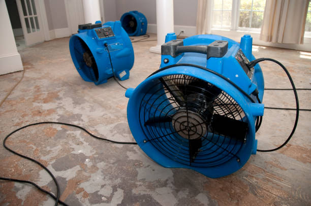 Best Water damage restoration cost  in Claysburg, PA