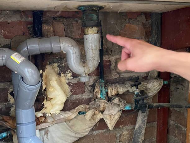 Best Water damage mitigation services  in Claysburg, PA